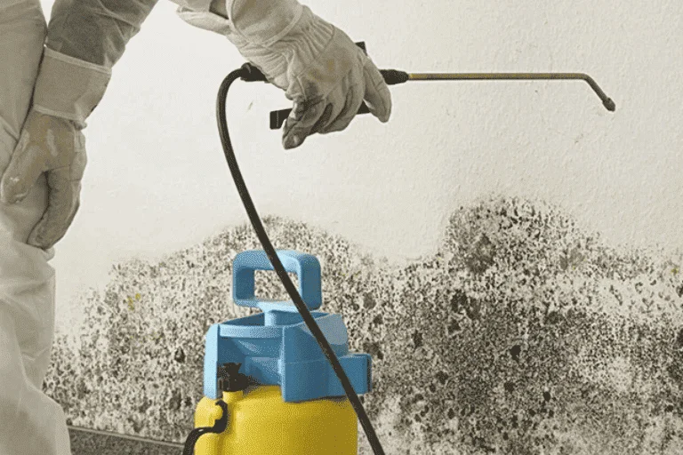 MOLD REMOVAL & CLEANING SERVICE