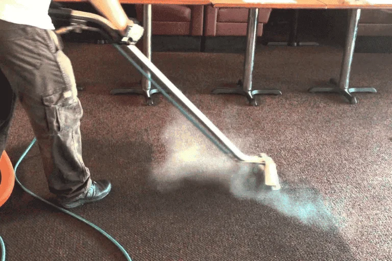 STEAM DEEP CLEANING SERVICE